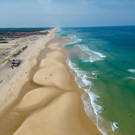 Maison Landaise D'architecte - 8 Pers - Bourg - Fr-1-319-609 Дом отдыха *