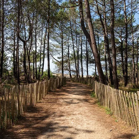 Maison Landaise D'architecte - 8 Pers - Bourg - Fr-1-319-609 Бискаррос