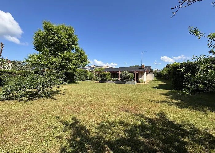 Semesterbostad Maison Landaise D'architecte - 8 Pers - Bourg - Fr-1-319-609