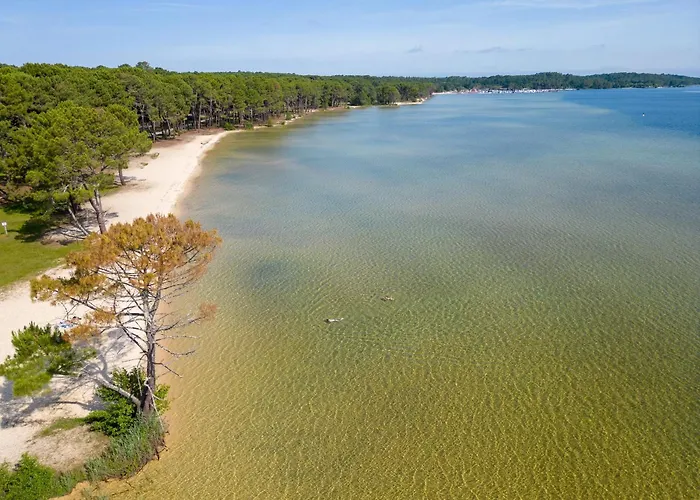 Semesterbostad Maison Landaise D'architecte - 8 Pers - Bourg - Fr-1-319-609 Biscarrosse