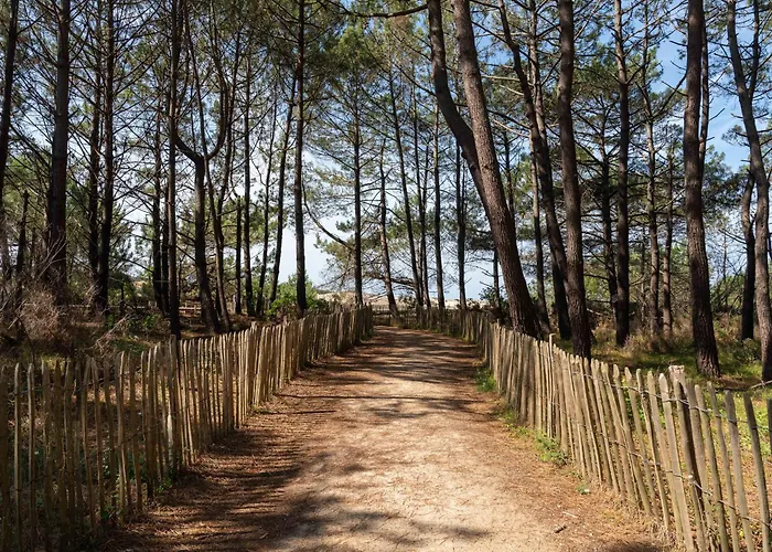 Maison Landaise D'architecte - 8 Pers - Bourg - Fr-1-319-609 Biscarrosse