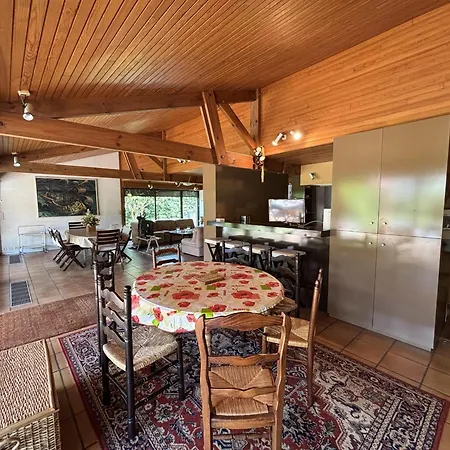 Σπίτι διακοπών Maison Landaise D'architecte - 8 Pers - Bourg - Fr-1-319-609 Biscarrosse