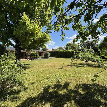 Feriehus Maison Landaise D'architecte - 8 Pers - Bourg - Fr-1-319-609