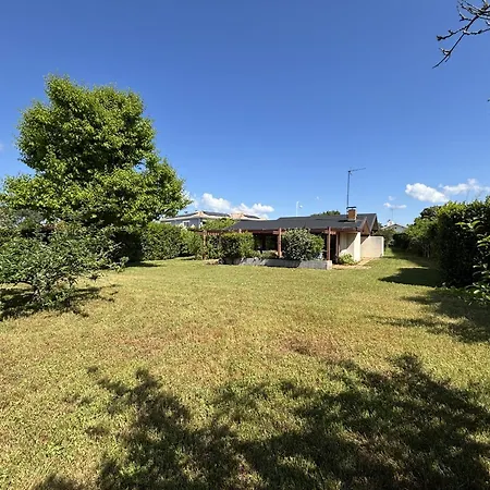 Holiday home Maison Landaise D'architecte - 8 Pers - Bourg - Fr-1-319-609