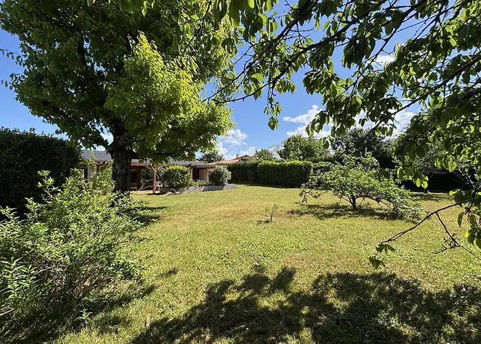 Casa vacanze Maison Landaise D'architecte - 8 Pers - Bourg - Fr-1-319-609