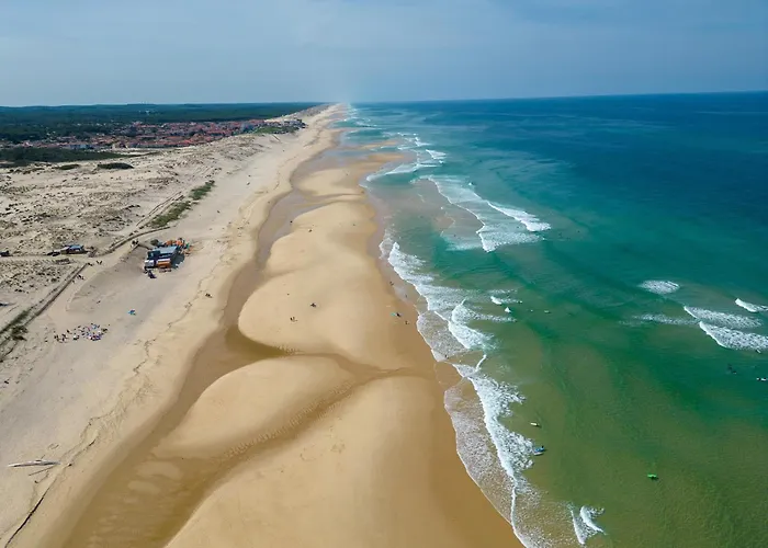 Maison Landaise D'architecte - 8 Pers - Bourg - Fr-1-319-609 Casa vacanze *