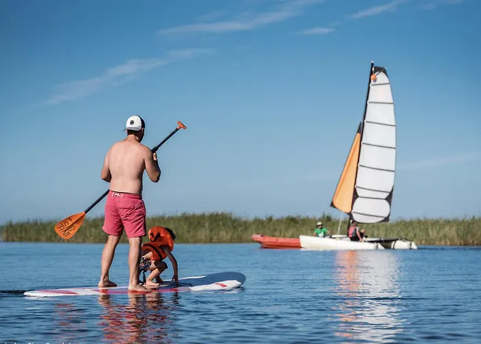 Maison Landaise D'architecte - 8 Pers - Bourg - Fr-1-319-609 *